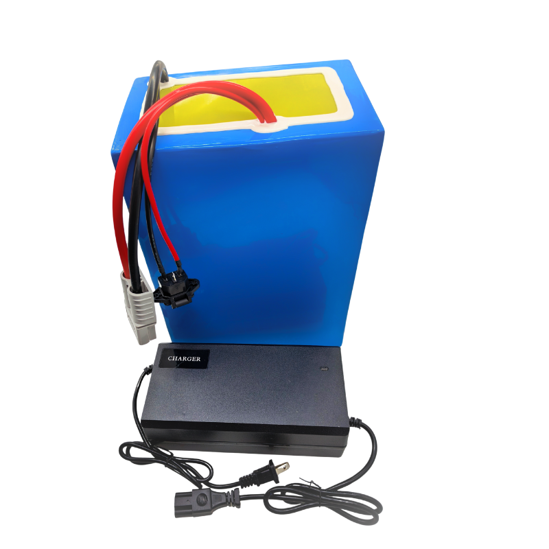 72V 100Ah Li ion con caricabat - 72V 60Ah Lifepo4 Battery Pack recensione e prezzo